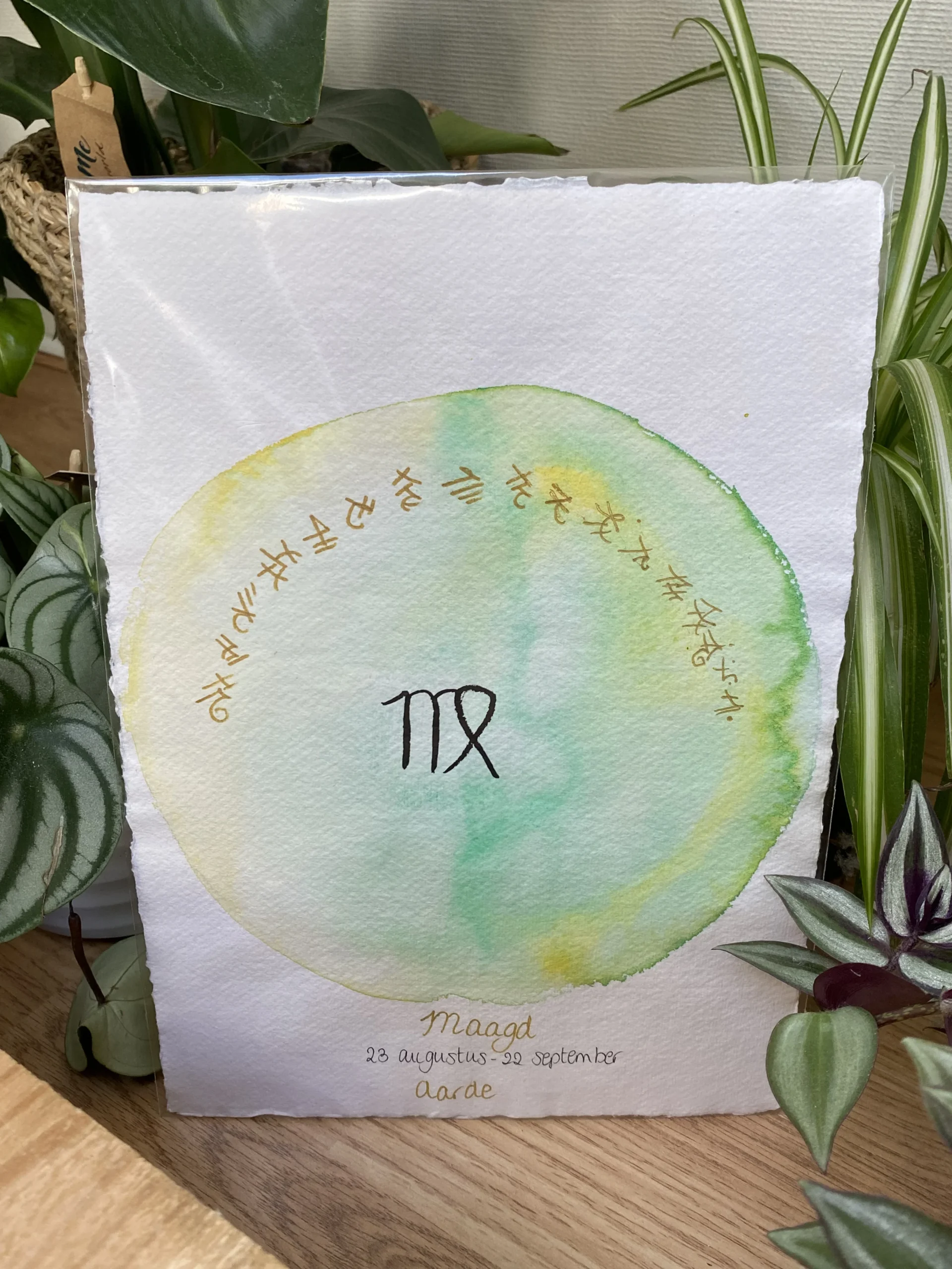 Gechannelde sterrenbeeld, Maagd